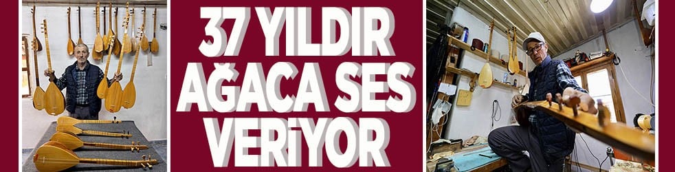 37 yıldır ağaca ses veriyor