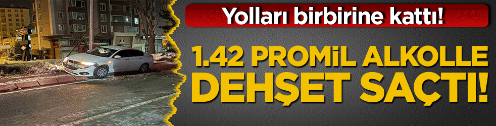 Alkolü fazla kaçıran trafik magandası ağaç ve direk dinlemedi! Sorumsuzluğun böylesi pes dedirtti!