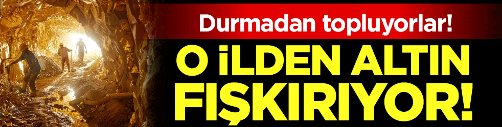 Altın zengini iller belli oldu! Zirvedeki il şaşırttı!