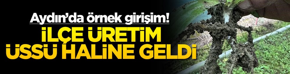 Aydın’da örnek girişim! İlçe üretim üssü haline geldi