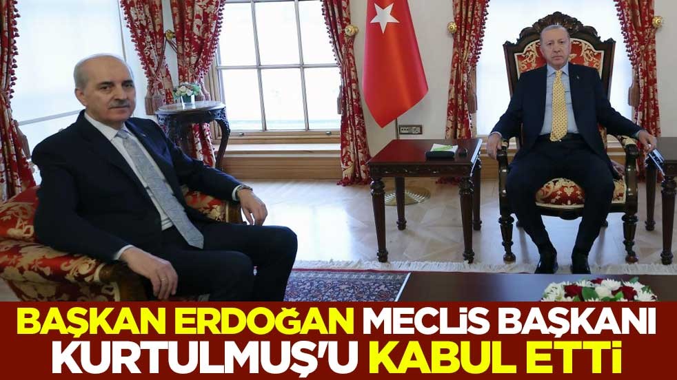 Başkan Erdoğan, Meclis Başkanı Kurtulmuş'u kabul etti