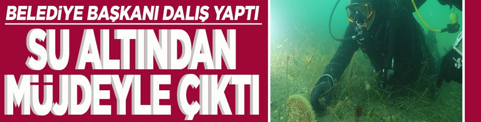 Belediye başkanı dalış yaptı, su altından müjdeyle çıktı