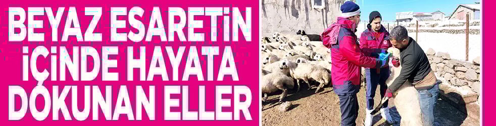 Beyaz esaret içinde hayata dokunan eller