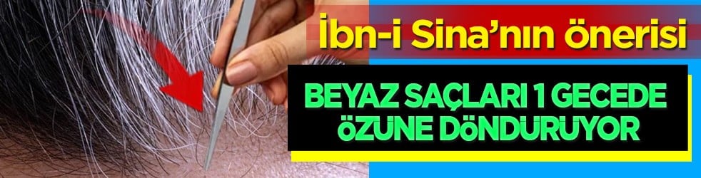 Beyaz saçları 1 gecede özüne döndüren İbn-i Sina’nın formülü: Boya değil bitkisel! 2026'da saç trendi