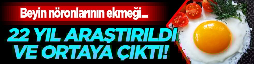 Beyin nöronlarının ekmeği resmen! 22 yıl araştırıldı ve ortaya çıktı!