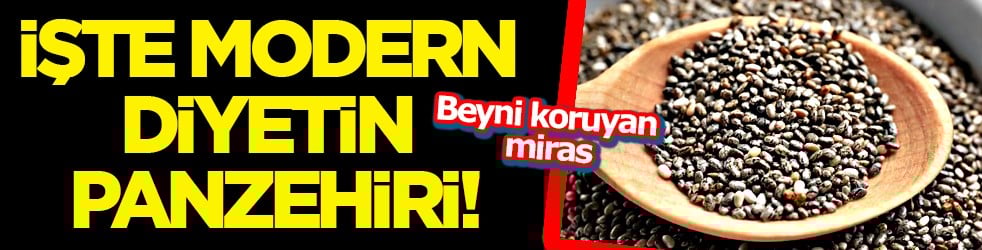 Beyni koruyan miras... Modern diyetin panzehiri oldu! Bilim insanları duyurdu...