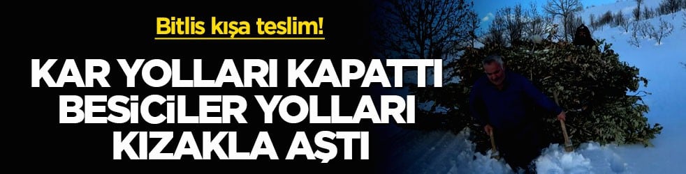 Bitlis kışa teslim! Kar yolları kapattı besiciler yolları kızakla aştı
