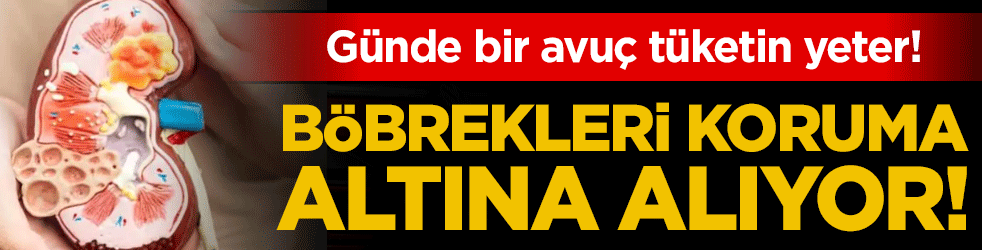 Günde bir avuç tüketin yeter: Böbrekleri koruma altına alıyor!