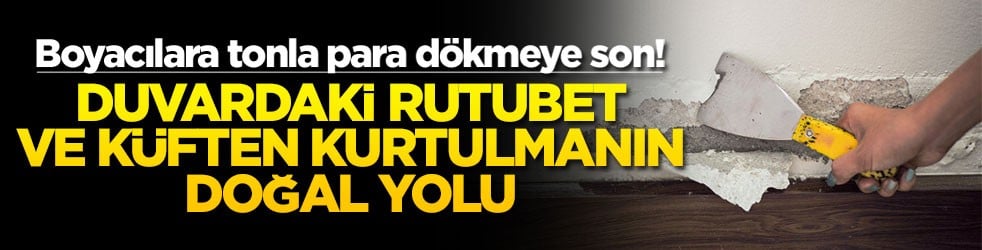 Boyacılara tonla para dökmeye son! Duvardaki rutubet ve küften kurtulmanın doğal yolu