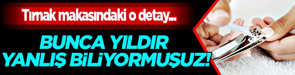 Bunca yıldır yanlış biliyormuşuz! Tırnak makasındaki o detay çok şaşırtacak...