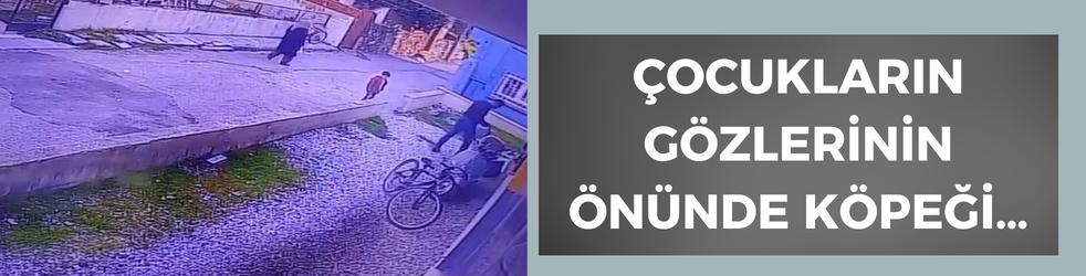 Çocukların gözü önünde köpeği…..