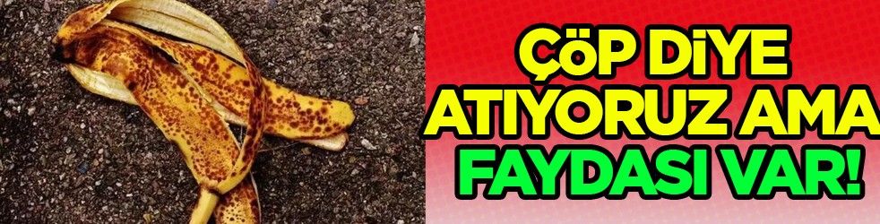 Çöp diyorlardı: Çöp diye atıyoruz ama inanılmaz faydası var!