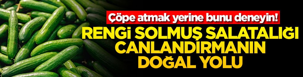 Çöpe atmak yerine bunu deneyin! Rengi solmuş salatalığı canlandırmanın doğal yolu