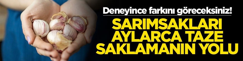Deneyince farkını göreceksiniz! Sarımsakları aylarca taze saklamanın yolu