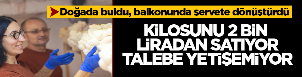 Doğada buldu, balkonunda servete dönüştürdü! Kilosunu 2 bin liradan satıyor, talebe yetişemiyor