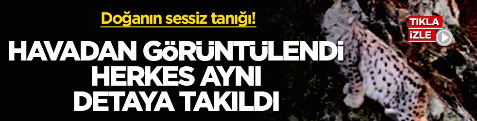 Doğanın sessiz tanığı! Havadan görüntülendi, herkes aynı detaya takıldı