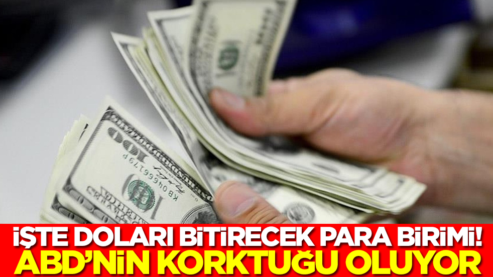 Doları bitirecek para birimi ortaya çıktı