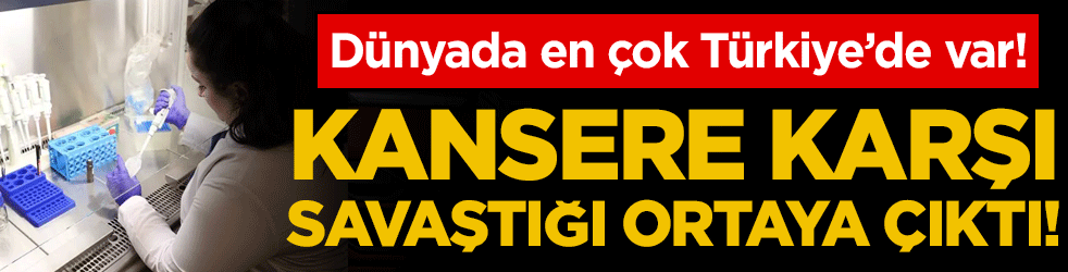 Dünyada en çok Türkiye'de var: Kanser karşıtı özelliği gün yüzüne çıktı!