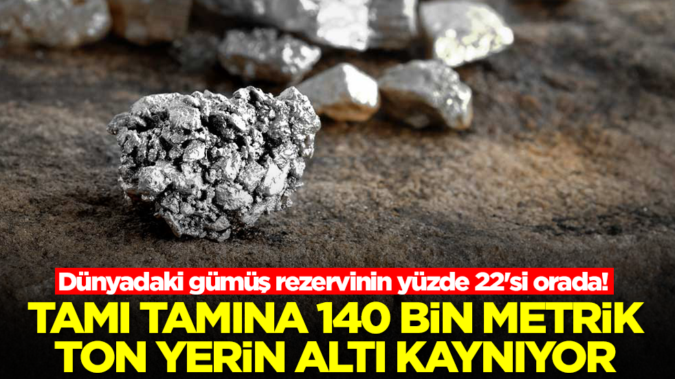 Dünyadaki gümüş rezervinin yüzde 22'si orada! Tamı tamına 140 bin metrik ton, yerin altı kaynıyor