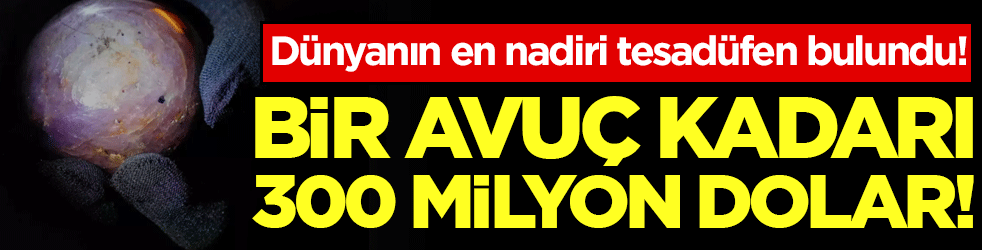 Dünyanın en nadiri tesadüfen bulundu: Bir avuç kadarı 300 milyon dolar!