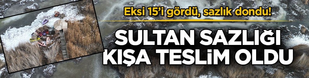 Eksi 15’i gördü, sazlık dondu! Sultan Sazlığı kışa teslim oldu