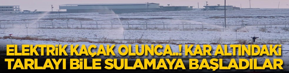 Elektrik kaçak olunca karla kaplı tarlayı bile sulamaya başladılar