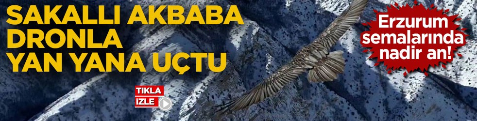Erzurum semalarında nadir an! Sakallı akbaba dronla yan yana uçtu