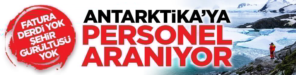 Fatura derdi yok, şehir gürültüsü yok: Antarktika’ya personel aranıyor