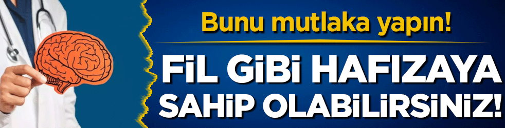 Fil gibi hafızaya sahip olabilirsiniz! Bunu mutlaka yapın!