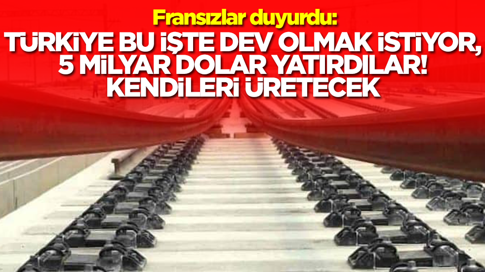 Fransızlar duyurdu: Türkiye bu işte dev olmak istiyor! 5 milyar dolar yatırdılar kendileri üretecek