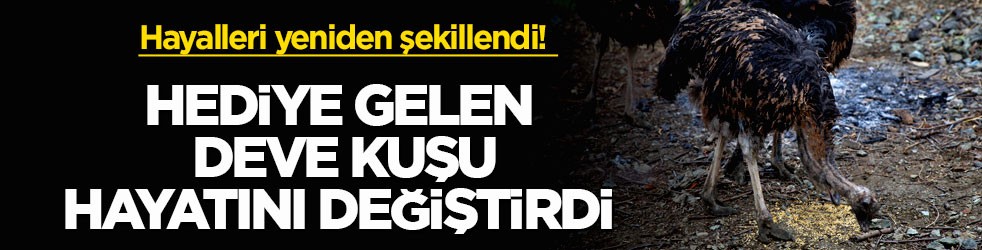 Hayalleri yeniden şekillendi! Hediye gelen deve kuşu hayatını değiştirdi