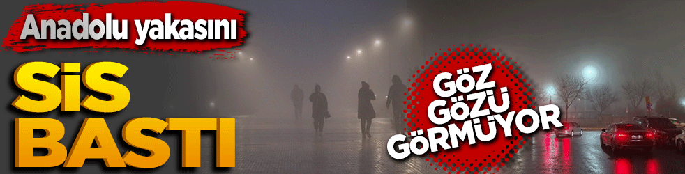 İstanbul Anadolu Yakası'nı sis bastı göz gözü görmüyor