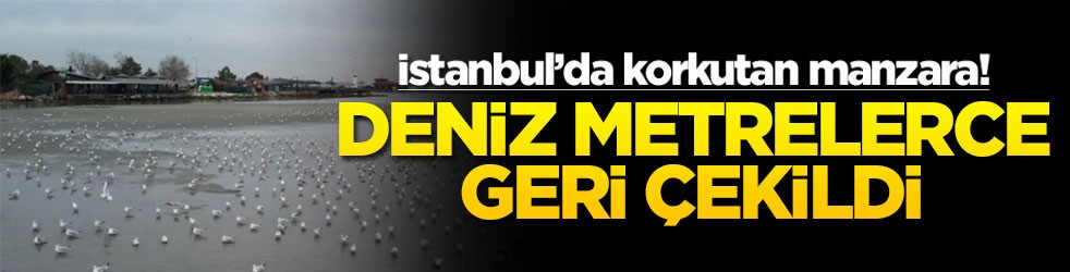 İstanbul’da korkutan manzara! Deniz metrelerce geri çekildi