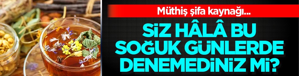 İşte şifa kaynakları... Bronşit, öksürük, grip... Soğuk algınlığına birebir 3 bitki çayı