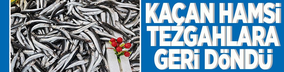 Kaçan hamsi tezgahlara geri döndü