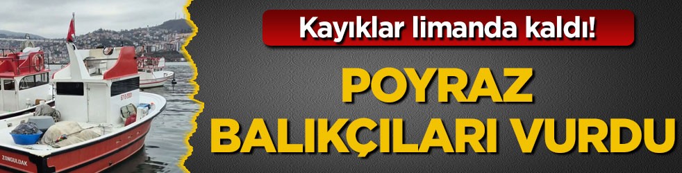 Kayıklar limanda kaldı! Poyraz balıkçıları vurdu