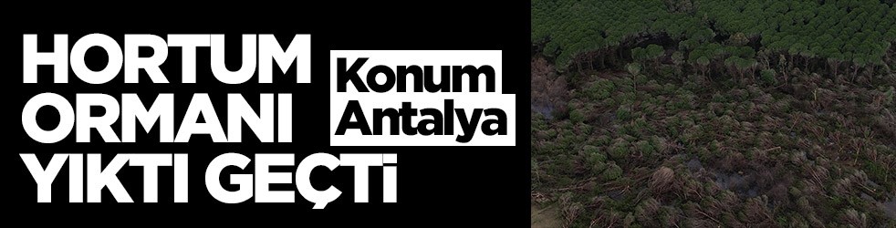 Konum: Antalya... Hortum ormanı yıktı geçti