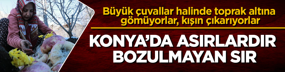Konya’da asırlardır bozulmayan sır! Büyük çuvallar halinde toprak altına gömüyorlar, kışın çıkarıyorlar: "İlk günkü gibi duruyor"