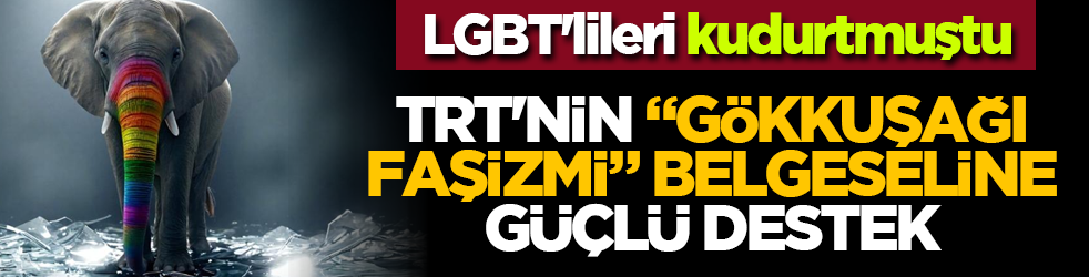 LGBT'lileri kudurtmuştu: TRT'nin "Gökkuşağı Faşizmi" Belgeseline Güçlü Destek