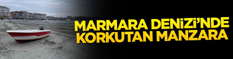 Marmara Denizi'nde korkutan manzara