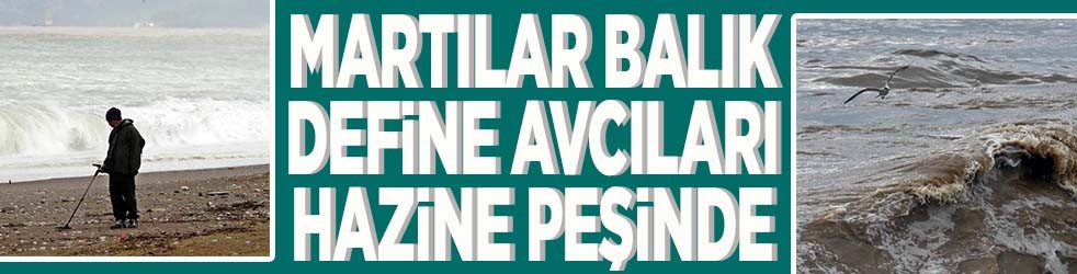 Martılar balık peşinde define avcıları hazine peşinde