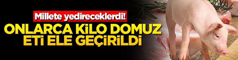 Millete yedireceklerdi! Onlarca kilo domuz eti ele geçirildi