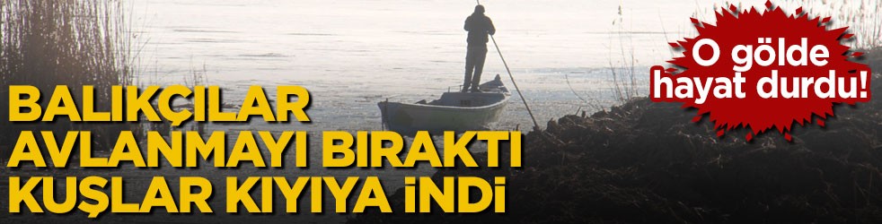 O gölde hayat durdu! Balıkçılar avlanmayı bıraktı, kuşlar kıyıya indi