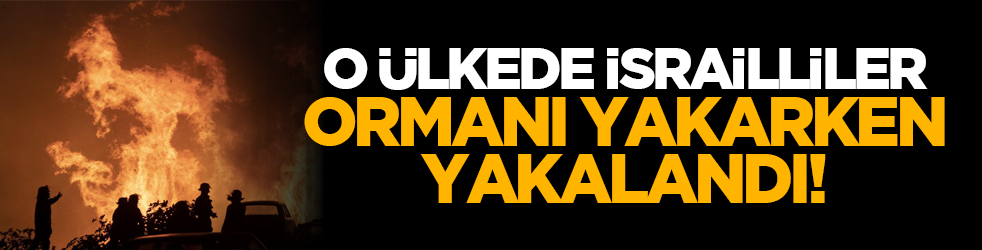 O ülkede İsrailliler ormanı yakarken yakalandı!