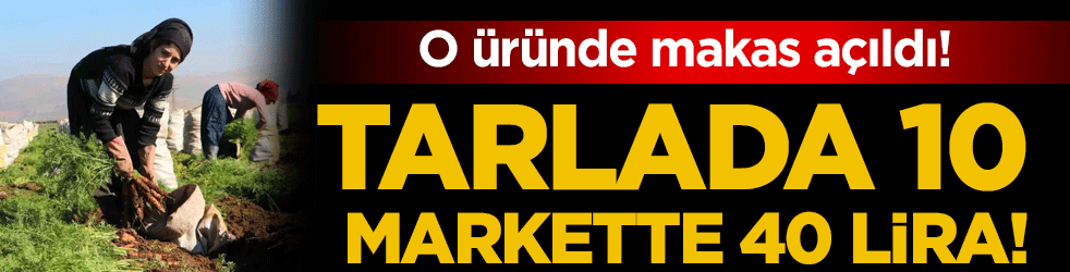 O üründe makas açıldı: Tarlada 10 markette 40 lira!
