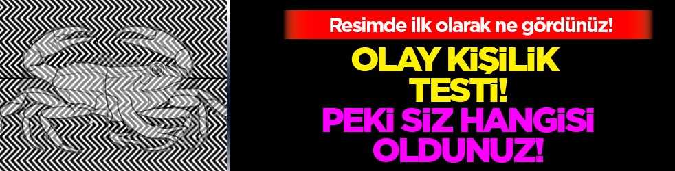 Olay kişilik testi de olabilir! Resimde ilk kurbağa mı yengeç mi gördün? 