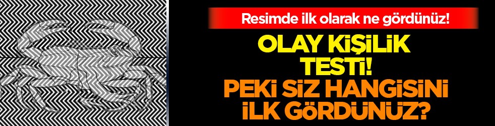 Olay kişilik testi de olabilir! Resimde ilk kurbağa mı yengeç mi gördün? 
