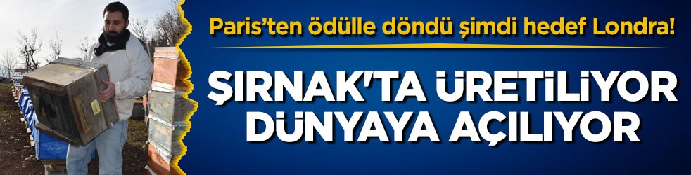 Paris’ten ödülle döndü şimdi hedef Londra! Şırnak'ta üretiliyor dünyaya açılıyor