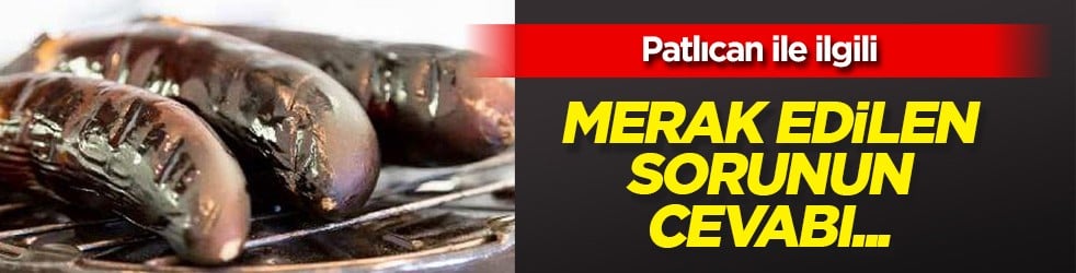 Patlıcan közlenmeden önce yıkanır! İşte sebebi