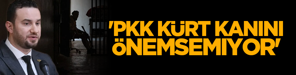 'PKK, Kürt kanını önemsemiyor'